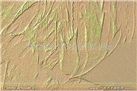 薄浆艺术涂料JL_BJ164