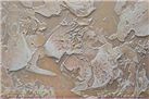 薄浆艺术涂料JL_BJ167