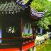 上海市松江区的--醉白池