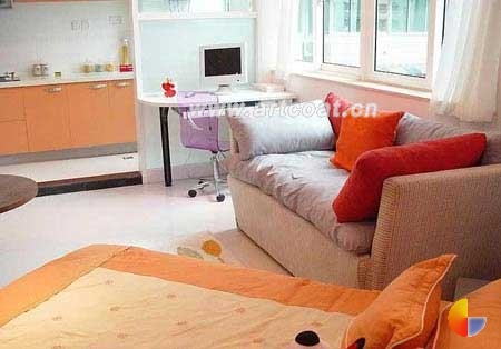 客厅、卧室、餐厅为一体的一居设计。