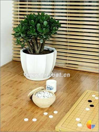 绿植点缀