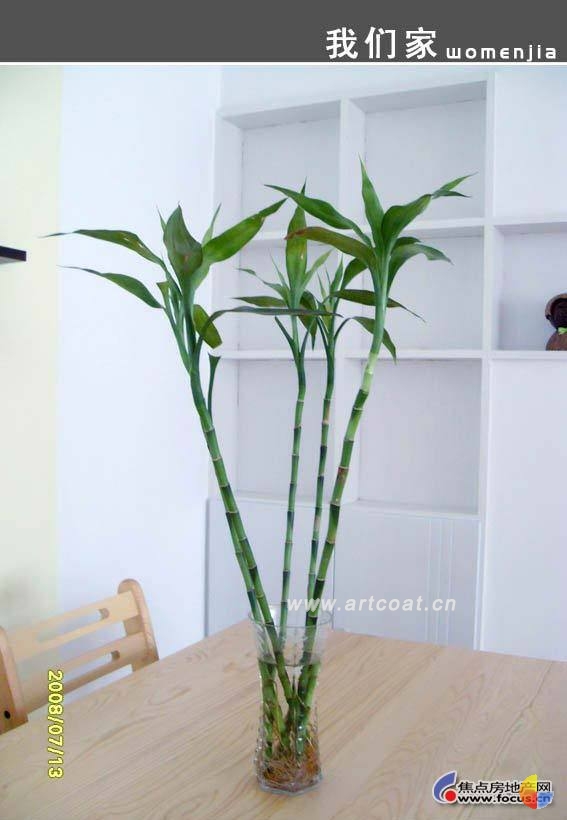 装修大曝光:潜伏三个月打造白色婚房