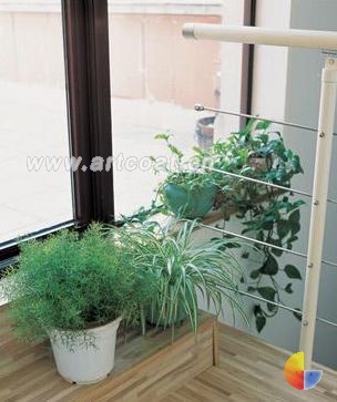 将绿色延伸到室外