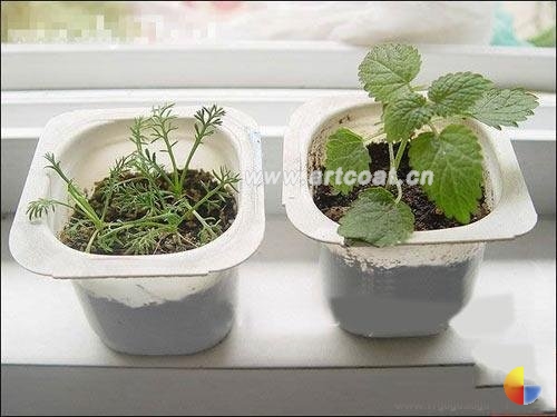 点击浏览下一张