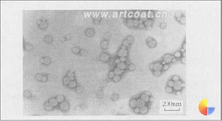 图 4 水性环氧乳液的 TEM 照片