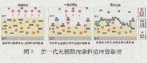 图1第一代无锡防污涂料防污效果图