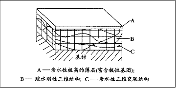 图 1   亲水涂膜的三层结构