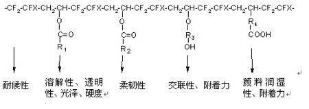 FEVE的结构
