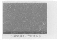 表 2   增韧前后涂料的物理性能