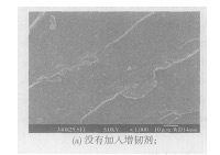 表 2   增韧前后涂料的物理性能