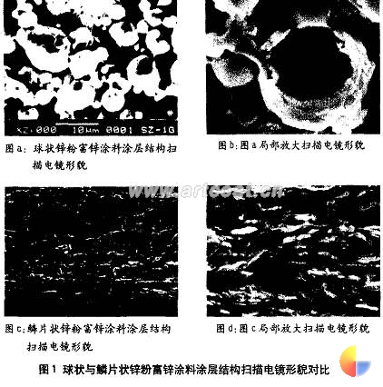 图 1 多孔隙的涂层结构