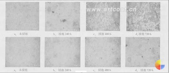 图5盐水浸泡不同时间后涂膜的表面形貌