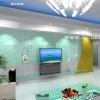 样板间：客厅装修效果图--影视墙