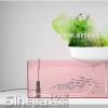 带鱼缸的花盆 省时又省力