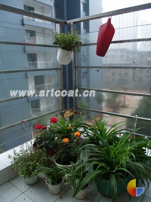 小花园,种满了花花草草