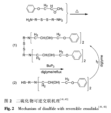 降解型环氧树脂