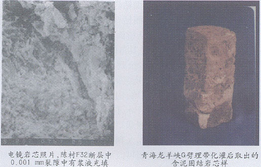 图8灌入低渗透性地层的夹泥中的照片(两个照片) 