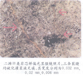 图9灌入0.006mm的裂缝中的照片 
