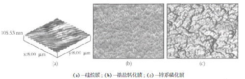 图3金属表面转化膜的微晶结构AFM图谱