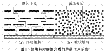 不同形状的颜填料对腐蚀介质的屏蔽作用