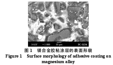 AZ31镁合金表面防腐胶粘涂层的研制