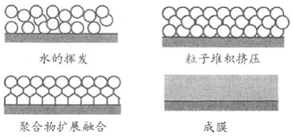 图2聚合物分散体成膜过程 