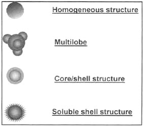 图3不同聚合物形貌结构 