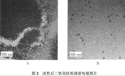 图2 改性后二氧化硅的透射电镜照片