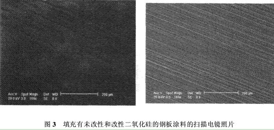 图3 填充有未改性和改性二氧化硅的钢板涂料的扫描电镜照片