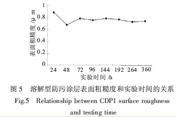 图5 溶解型防污涂层表面粗糙度和实验时间的关系