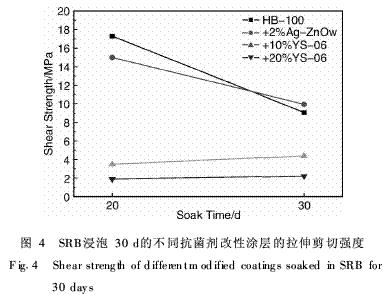 图4 SRB浸泡30d的不同抗菌剂改性涂层的拉伸剪切强度