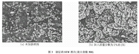 图3 涂层的SEM