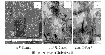 图10 纳米聚合物