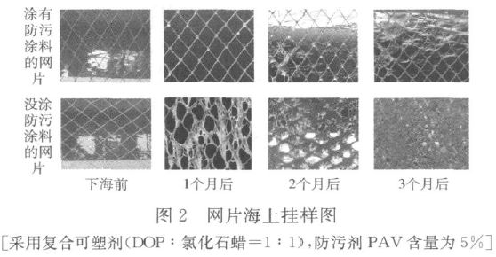 图2 网片海上挂样图