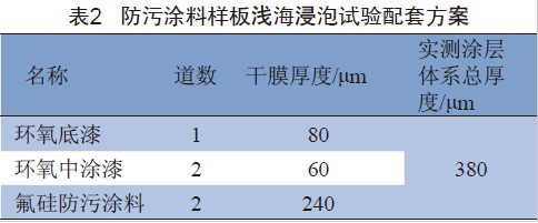 表2 防污涂料样板浅海浸泡试验配套方案