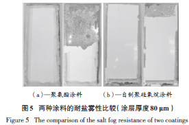 图5 两种涂料的耐盐雾性比较