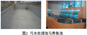 图2 污水处理池与养鱼池