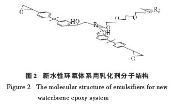 图2 新水性环氧体系用乳化剂分子结构