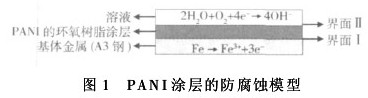 图1 PANI涂层的防腐蚀模型图