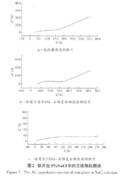图2 铁片在5%nacl